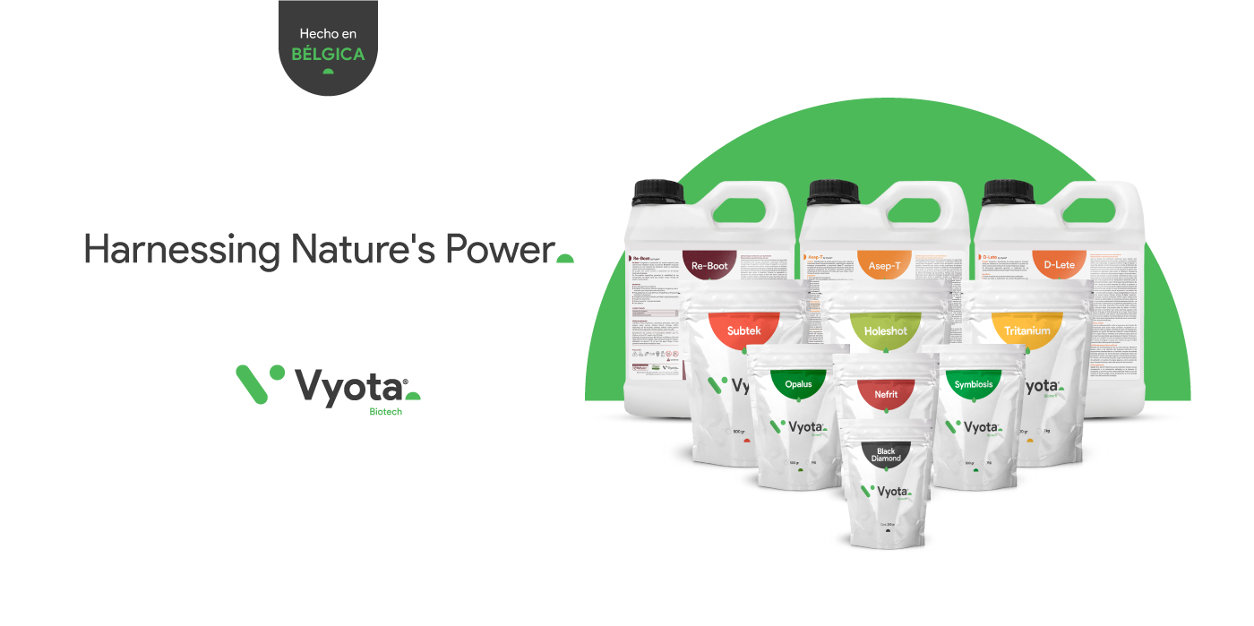 Vyota