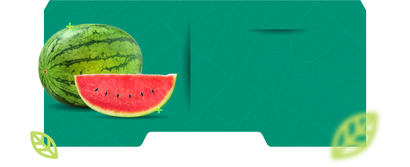 Bioestimulantes