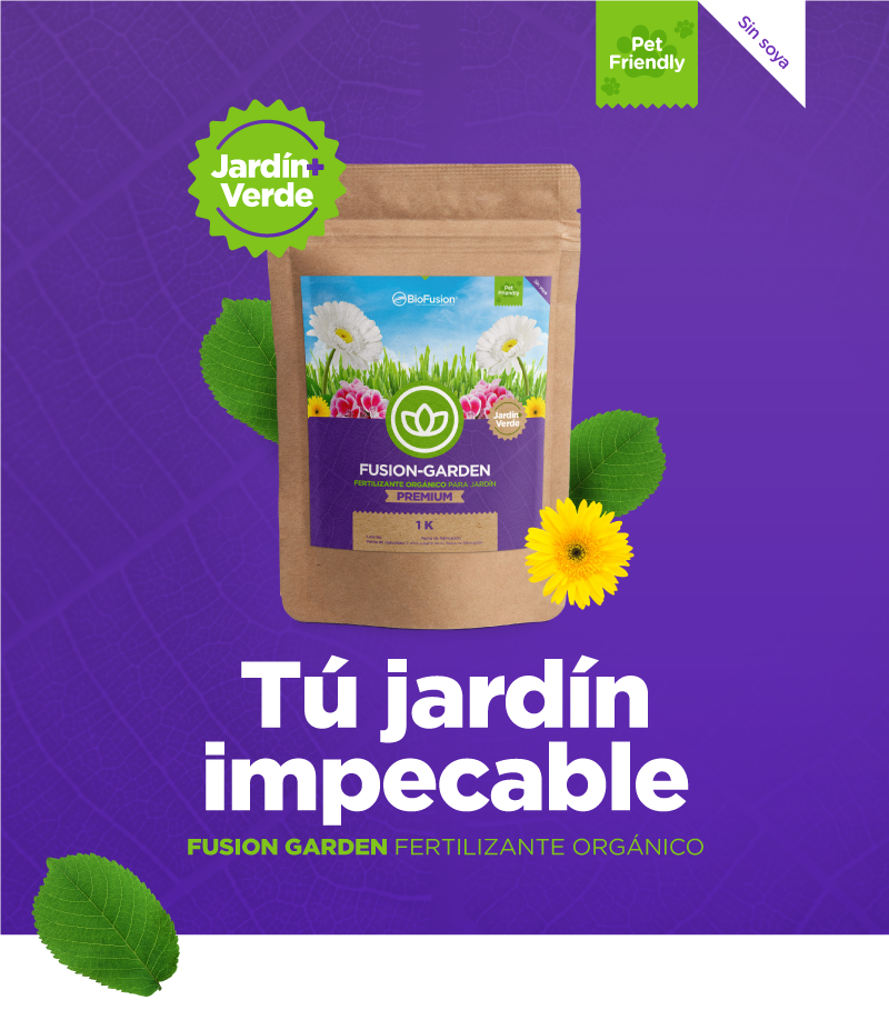 Biocorrectores