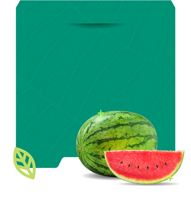 Bioestimulantes