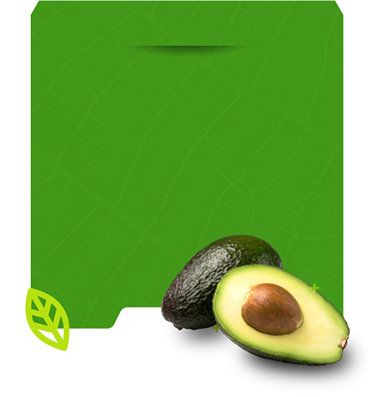 Biocorrectores
